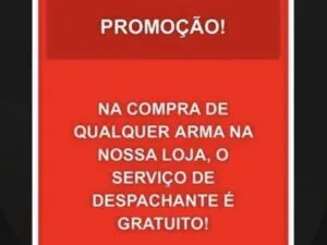 SERVIÇO DE DESPACHANTE